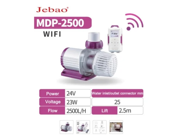 recifathome202607240421093166601