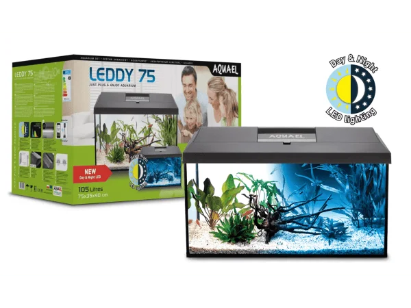 recifathome202607240508393169903