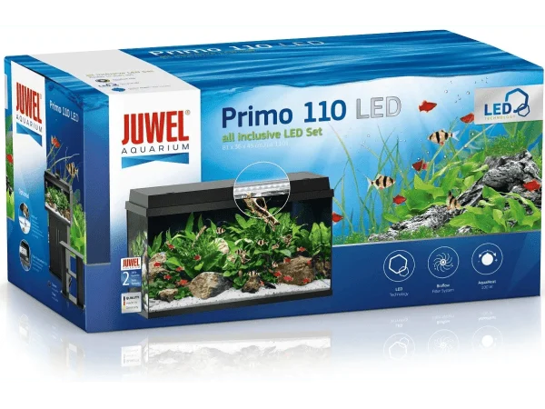 recifathome202607240509023169935