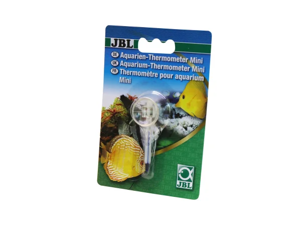 recifathome202607240530273171591