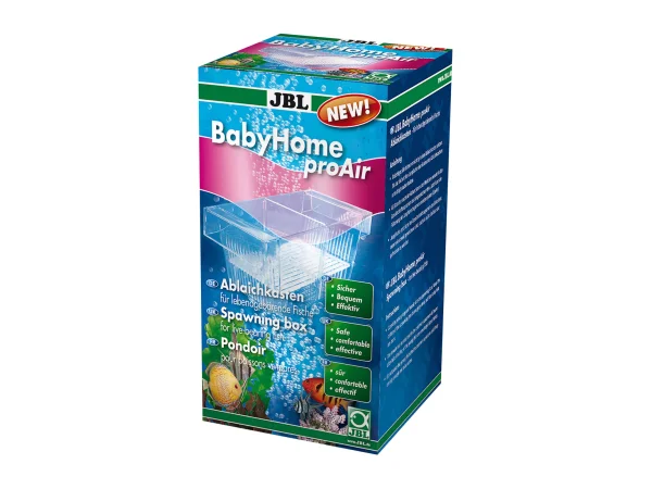 recifathome202607240533303171849