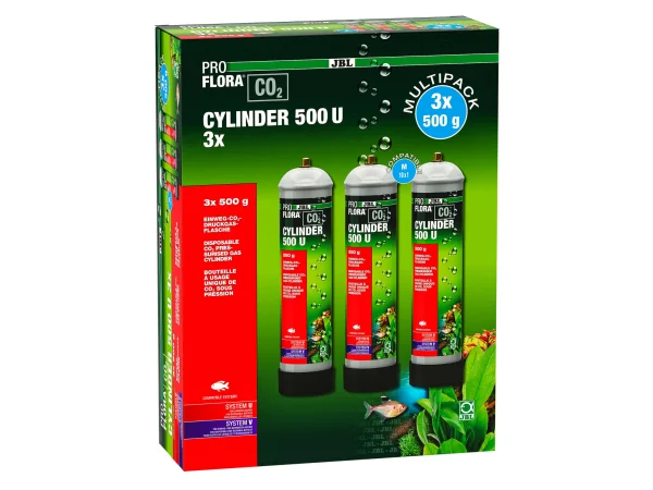 recifathome202607240535313172013