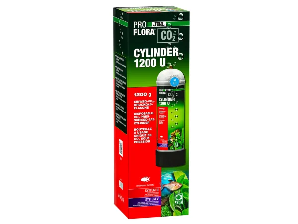 recifathome202607240535433172028