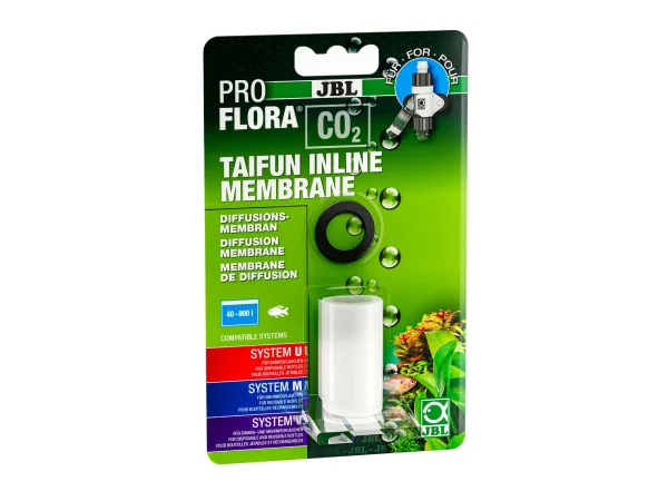 recifathome202607240538153172197
