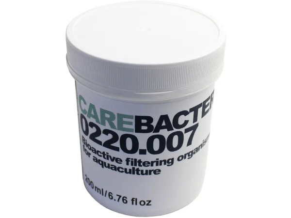 recifathome202607240551083173085