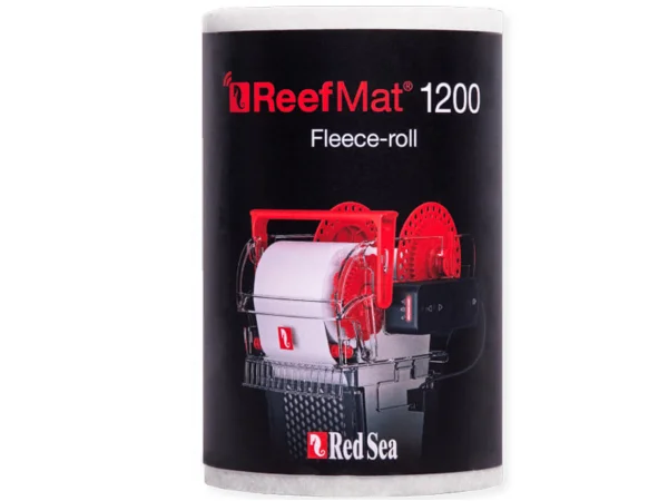 recifathome202607240551243173106