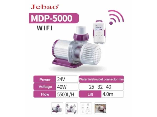 recifathome202607240635513175862