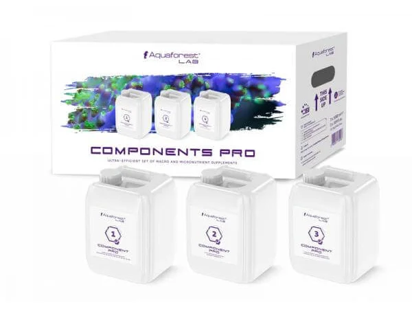 recifathome202607240643453176406