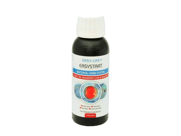 recifathome202607240652033176960
