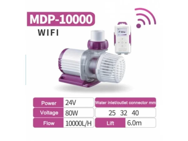 recifathome202607240700023177384