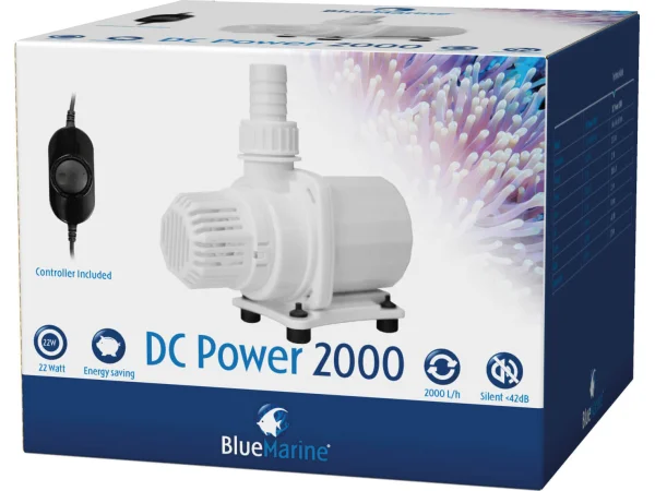 recifathome202607240705033177663