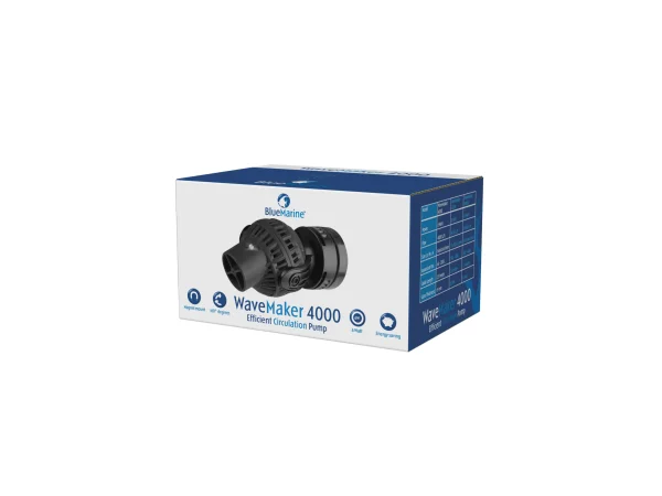 recifathome202607240705093177669