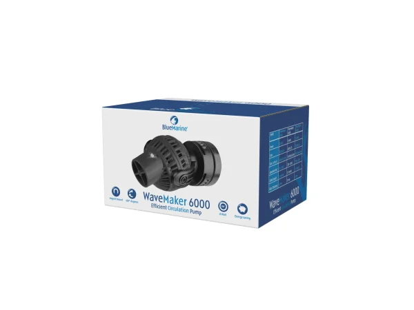 recifathome202607240705213177683