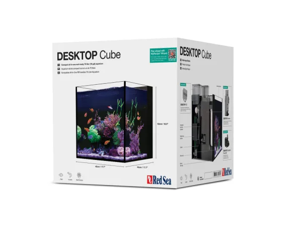 recifathome202607240753033180046