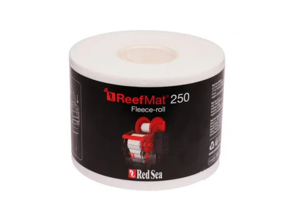 recifathome202607240914473186295