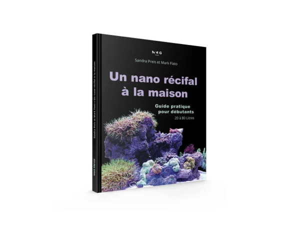recifathome202607240917083186690