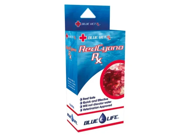 recifathome202607240931353188554