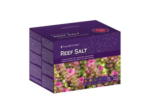 recifathome202607241051063195025
