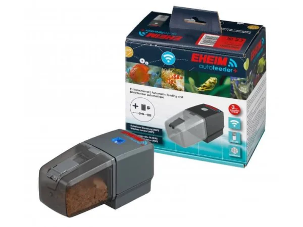 recifathome202607241249073211576