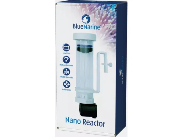 recifathome202607241258583212811