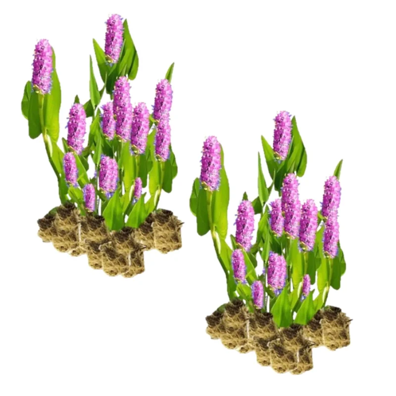 vdvelde202607251312073360921